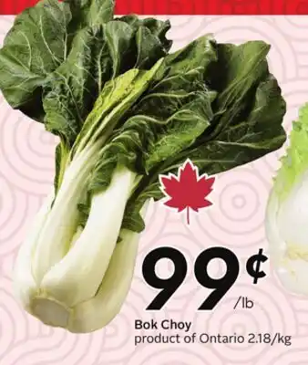 Sobeys Bok Choy offer