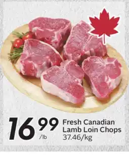 Sobeys Fresh Canadian Lamb Loin Chops 37.46/kg offer