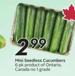 Sobeys Mini Seedless Cucumbers offer