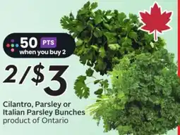 Sobeys Cilantro, Parsley or Italian Parsley Bunches offer