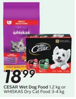 Sobeys CESAR Wet Dog Food offer
