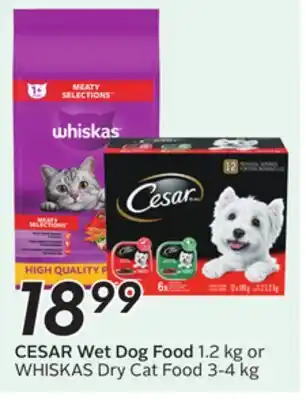 Sobeys CESAR Wet Dog Food offer