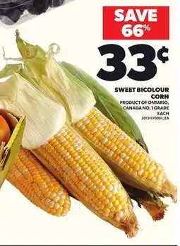 Loblaws SWEET BICOLOUR CORN offer