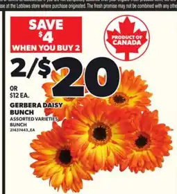 Loblaws GERBERA DAISY BUNCH offer