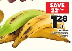 Loblaws PLANTAIN offer