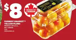 Loblaws FARMER'S MARKET YELLOW PLUMS, 1.5L offer