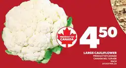 Loblaws LARGE CAULIFLOWER offer