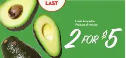 Longo's Fresh Avocados offer