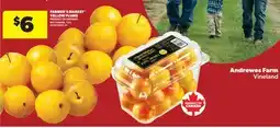 Real Canadian Superstore FARMER'S MARKET YELLOW PLUMS offer