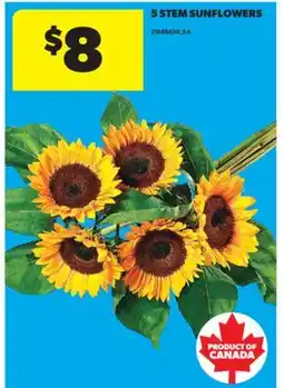 Real Canadian Superstore 5 STEM SUNFLOWERS offer