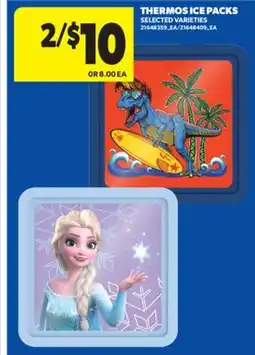 Real Canadian Superstore THERMOS ICE PACKS offer