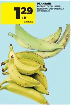Real Canadian Superstore PLANTAIN offer
