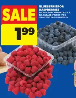 Real Canadian Superstore BLUEBERRIES OR RASPBERRIES, PINT OR 170 G offer