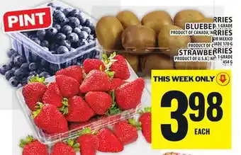 Food Basics BLUEBERRIES OR RASPBERRIES OR KIWIS OR STRAWBERRIES offer