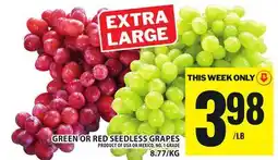 Food Basics GREEN OR RED SEEDLESS GRAPES offer