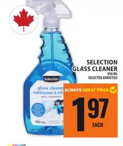 Food Basics SELECTION GLASS CLEANER offer