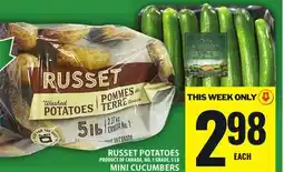 Food Basics RUSSET POTATOES OR MINI CUCUMBERS offer