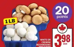Food Basics WHITE OR CREMINI MUSHROOMS offer