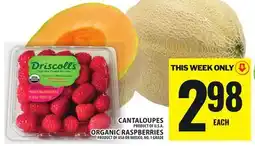 Food Basics CANTALOUPES OR ORGANIC RASPBERRIES offer