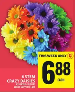 Food Basics 6 STEM CRAZY DAISIES offer