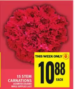 Food Basics 15 STEM CARNATIONS offer