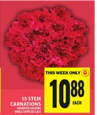 Food Basics 15 STEM CARNATIONS offer