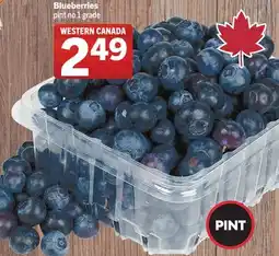Foodland Blueberries offer