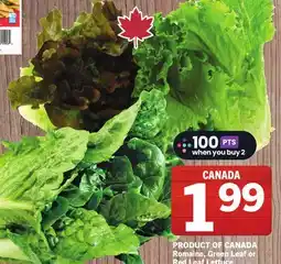 Foodland Romaine, Green Leaf or Red Leaf Lettuce offer