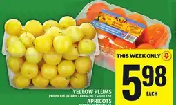 Food Basics YELLOW PLUMS OR APRICOTS offer