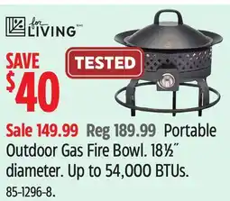 Canadian Tire Portable Outdoor Gas Fire Bowl offer