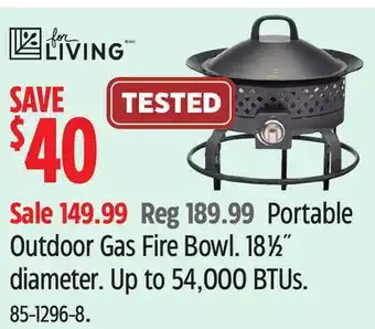 Canadian Tire Portable Outdoor Gas Fire Bowl offer