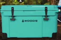 Canadian Tire Woods 35 L ARCTIC Roto Moulded Series Coolers offer