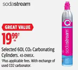 Canadian Tire Selected 60L CO2 Carbonating Cylinders offer