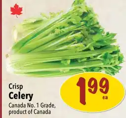 Farm Boy Crisp Celery offer