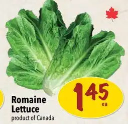 Farm Boy Romaine Lettuce offer