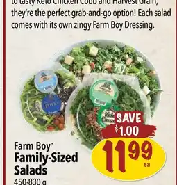 Farm Boy Farm Boy Family-Sized Salads offer