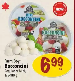 Farm Boy Farm Boy Bocconcini offer