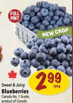 Farm Boy Sweet & Juicy Blueberries offer