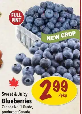 Farm Boy Sweet & Juicy Blueberries offer