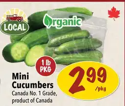 Farm Boy Mini Cucumbers offer