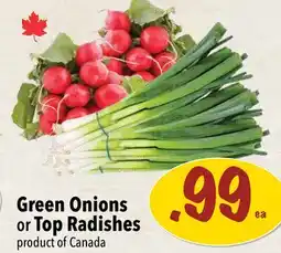 Farm Boy Green Onions or Top Radishes offer