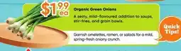 Healthy Planet Organic Green Onions offer