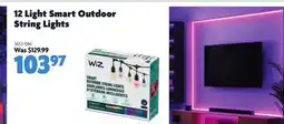 Home Hardware 12 Light Smart Outdoor String Lights offer