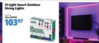 Home Hardware 12 Light Smart Outdoor String Lights offer