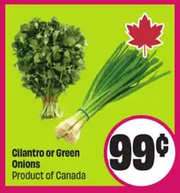 Chalo FreshCo Cilantro or Green Onions Product of Canada offer