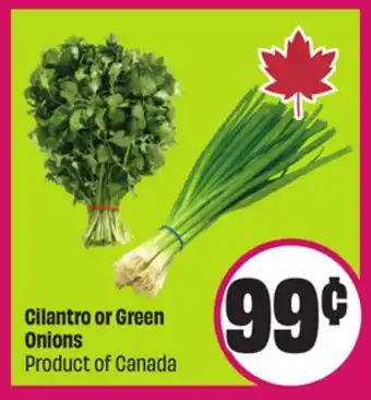 Chalo FreshCo Cilantro or Green Onions Product of Canada offer