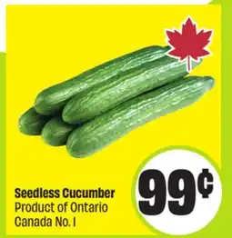 FreshCo Seedless Cucumber Product of Ontario Canada No. 1 offer