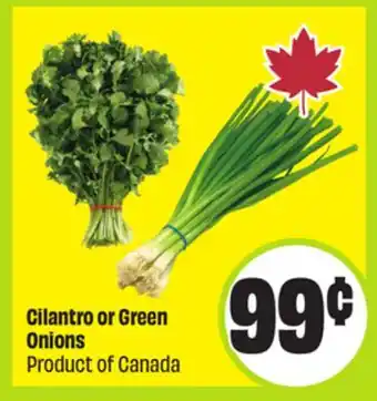 FreshCo Cilantro or Green Onions Product of Canada offer