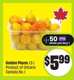 FreshCo Golden Plums 1.5 L Product of Ontario Canada No. 1 offer