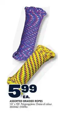 RONA ASSORTED BRAIDED ROPES offer